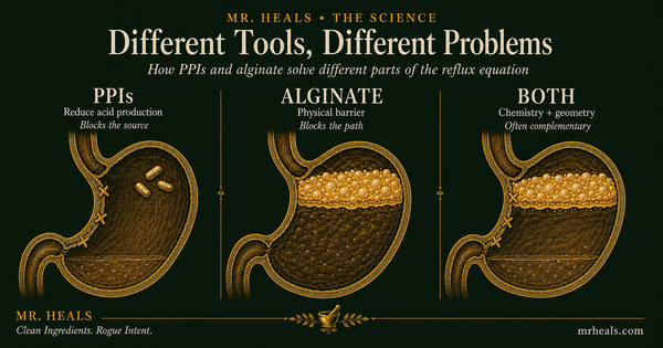 Three-panel anatomical illustration: PPIs reduce stomach acid, alginate forms a gel barrier, and both combined.